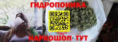 хмурый Абакан
